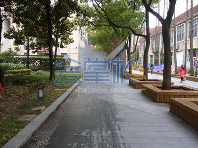 上海财经大学绿叶步行街基础图库88